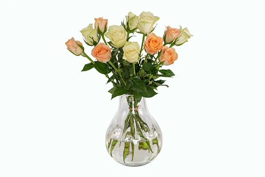 1. Image-Editing-Service_After