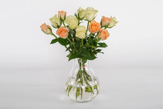 1. Image-Editing-Service_Before