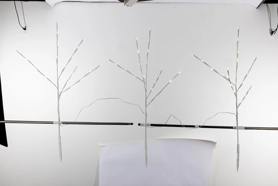 10. Background-removal-service_Before