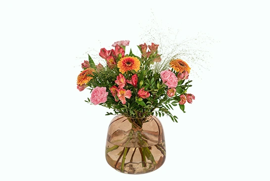 Super-Complex-Image-Editing_After