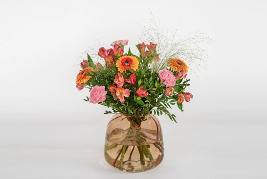 Super-Complex-Image-Editing_Before